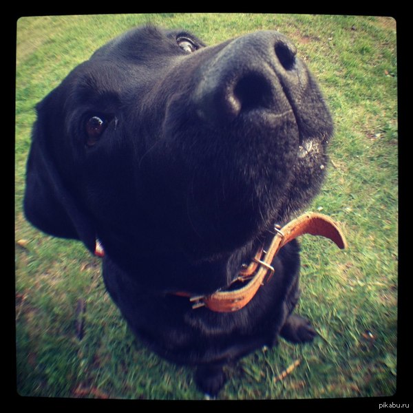 "� ��� �������� ����?"