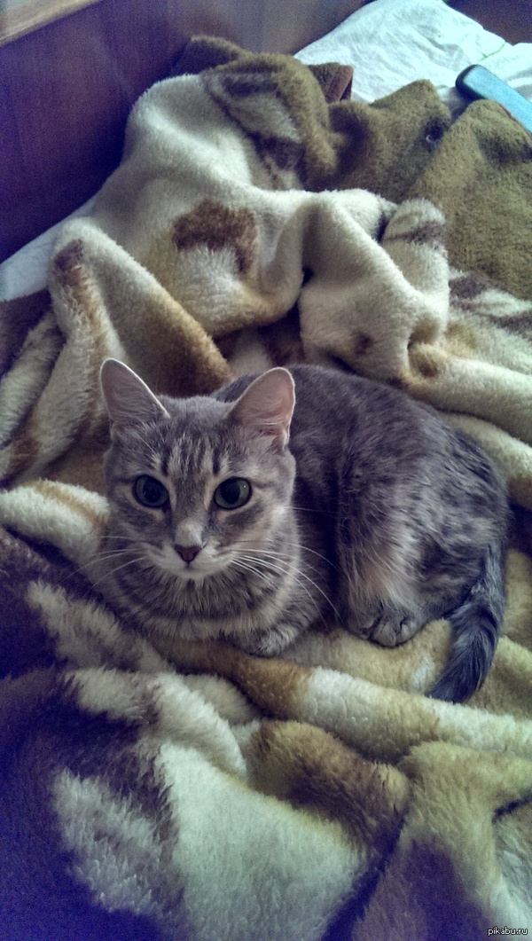 ��������, ����� ��� ������� � �������, ������� �� "��" ������� �������.