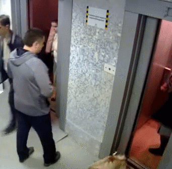 Мальчик пописал в лифте и застрял. Лифт прикол гиф. Лифт застрял. Сломанный лифт. Лифт сломался.