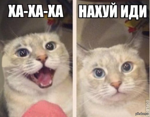 Порно Жирных Малолеток