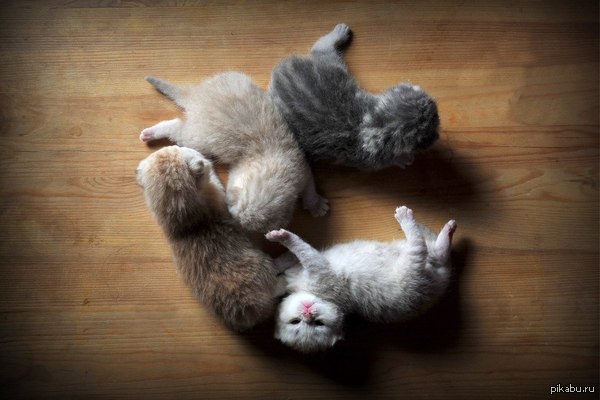 ���������!