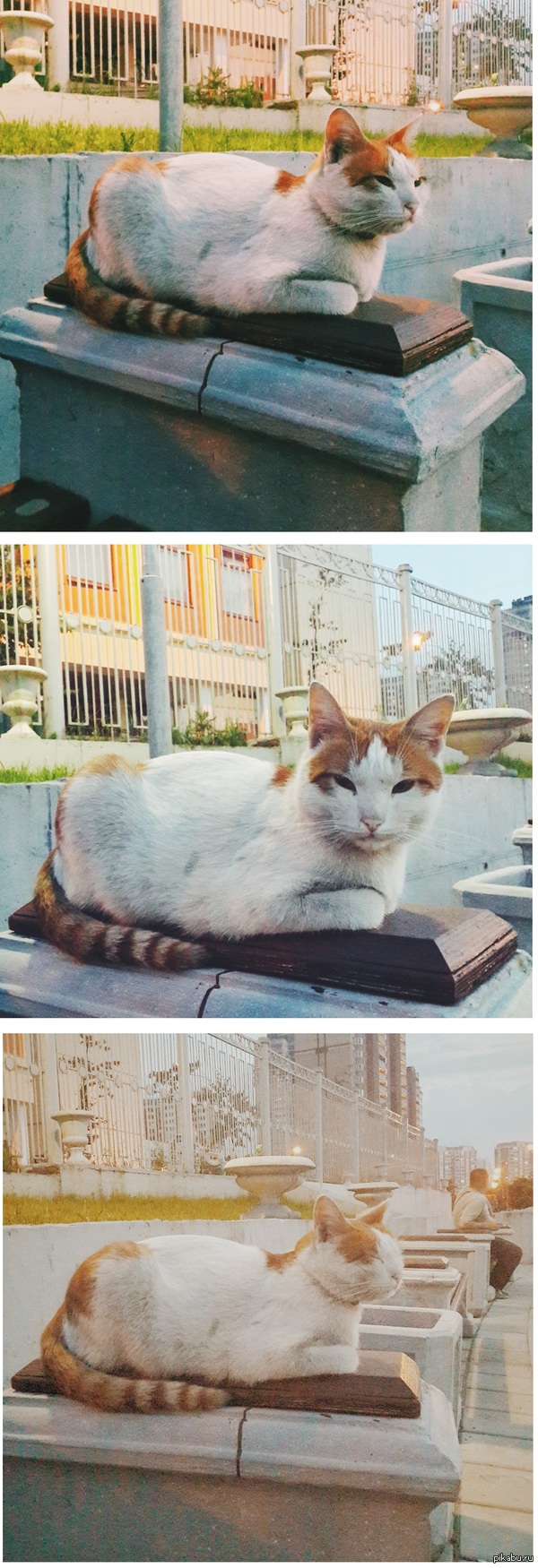 ��� ������� ������� ���� �������,��� ������ ���.