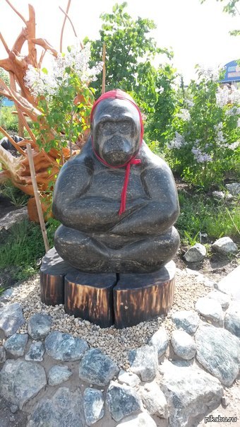 На пенек сел - косарь должен отдать =)