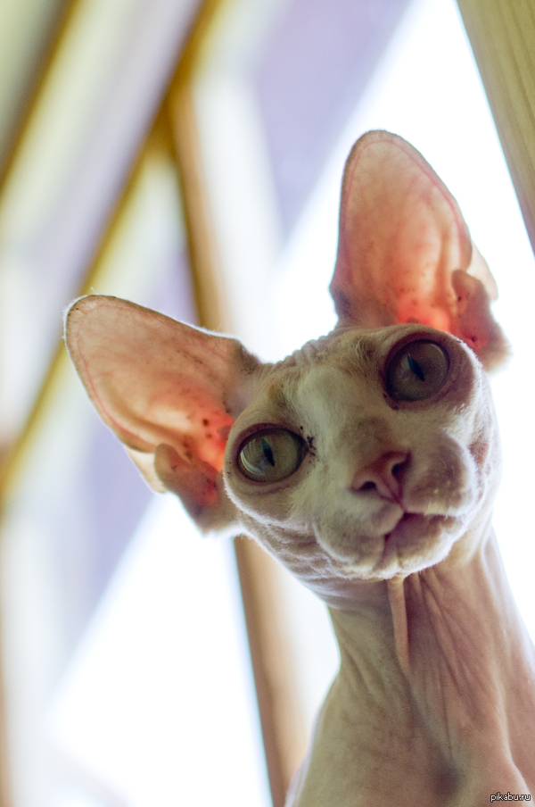 ��� �������?