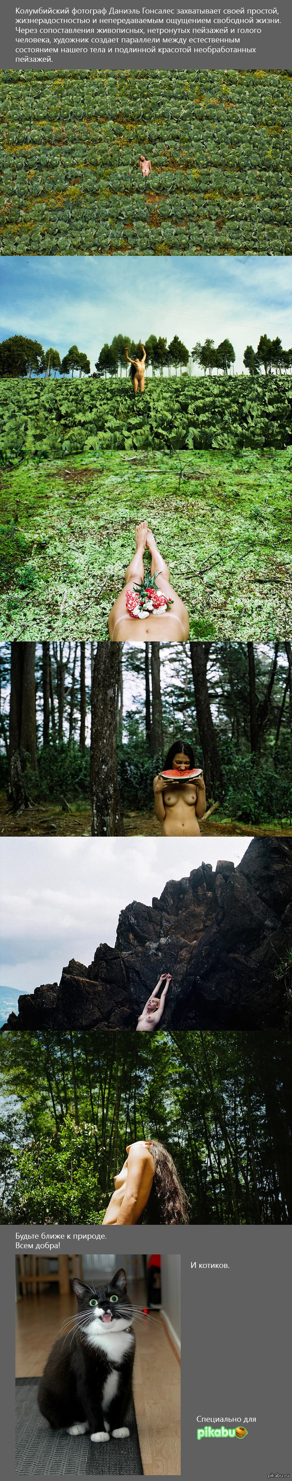 Nudity and nature - NSFW, The photo, Girls, Naked, Art, Longpost