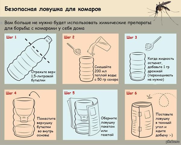 Making your own mosquito trap :) - Mosquitoes, Trap, Vampires, Padla, Mosquitoes