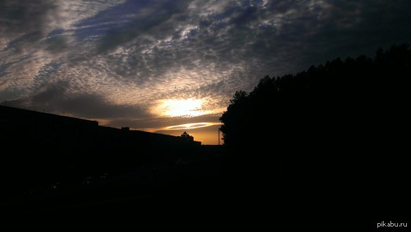 ��� ����������