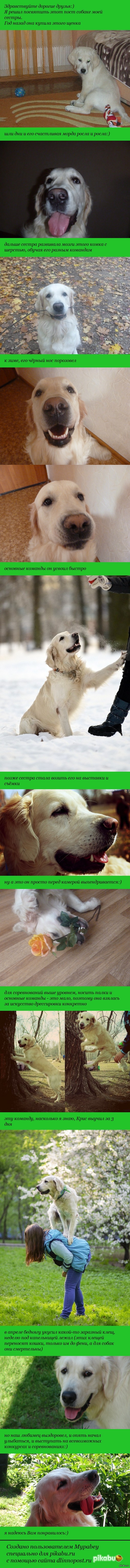 ������ �������� ��� ���������� ��������:)