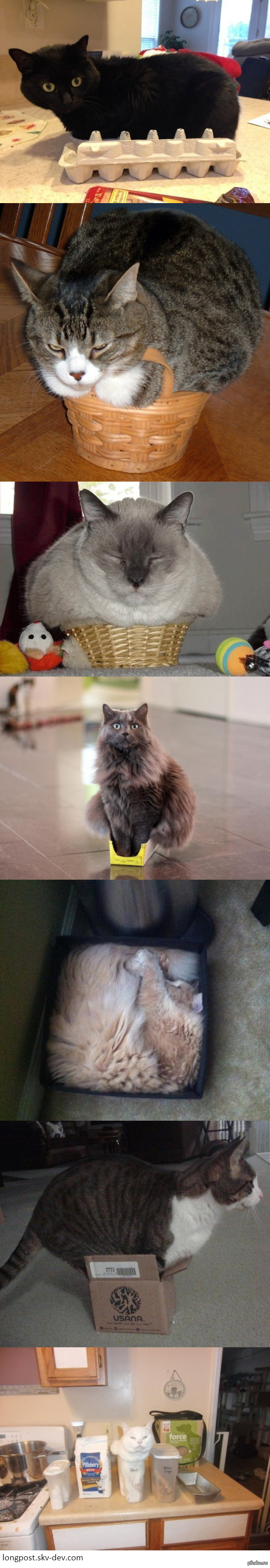 ���� � �������