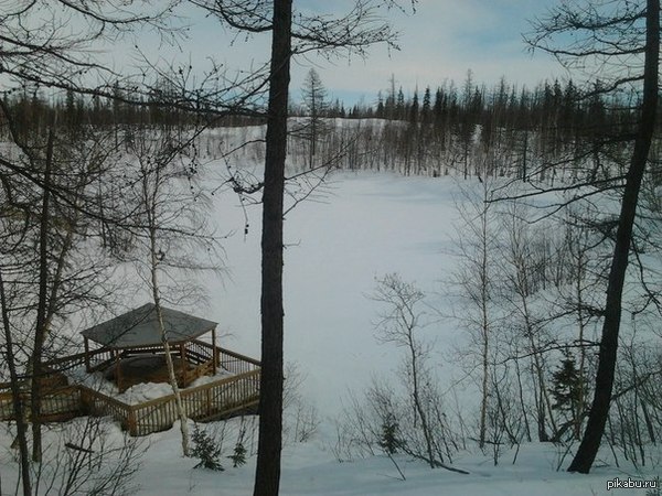 � ��������� "�����" ����.