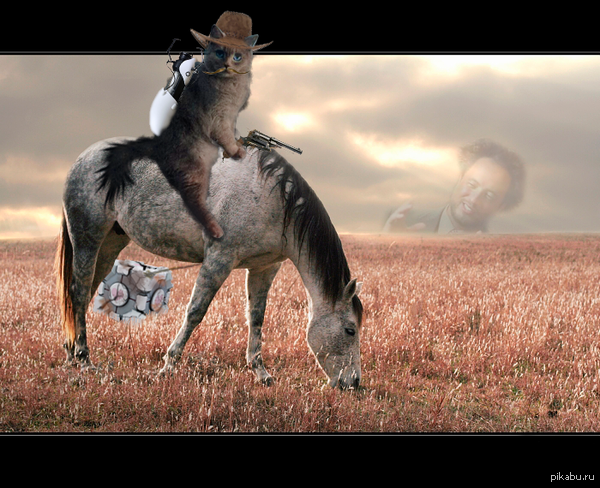 ��� ������