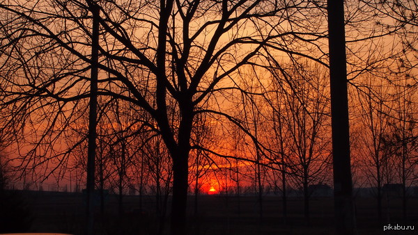 ����� ������ ������)