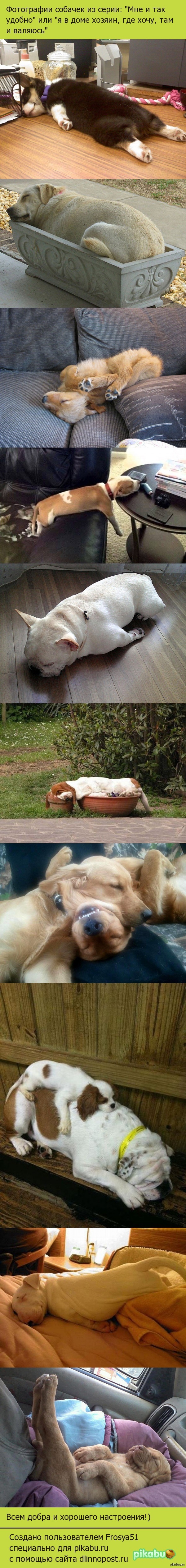 Где хочу, там и сплю)