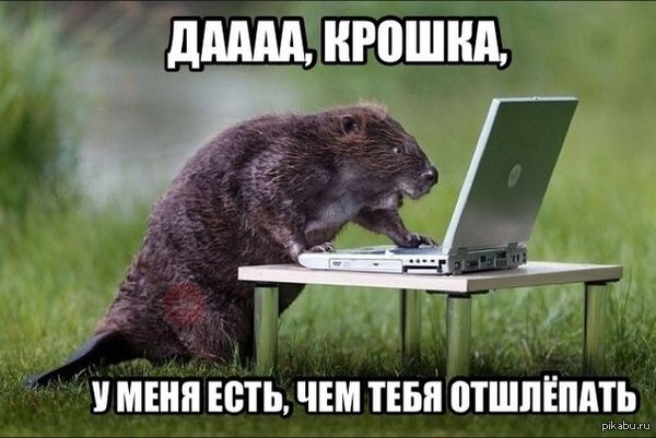 мем отшлепай меня ты уверена. Смотреть фото мем отшлепай меня ты уверена. Смотреть картинку мем отшлепай меня ты уверена. Картинка про мем отшлепай меня ты уверена. Фото мем отшлепай меня ты уверена мем отшлепай меня ты уверена. Смотреть фото мем отшлепай меня ты уверена. Смотреть картинку мем отшлепай меня ты уверена. Картинка про мем отшлепай меня ты уверена. Фото мем отшлепай меня ты уверена