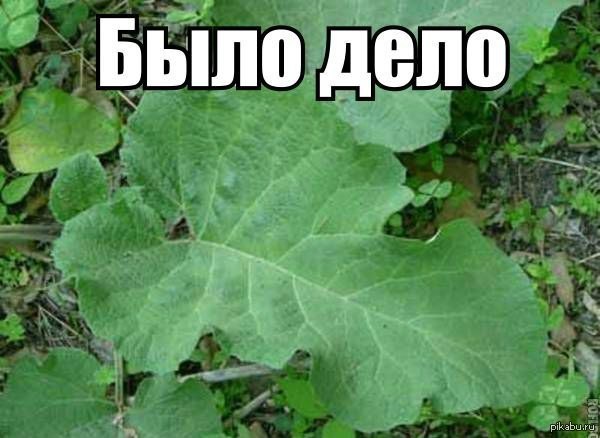 Знаю, не у всех, но вероятность велика...
