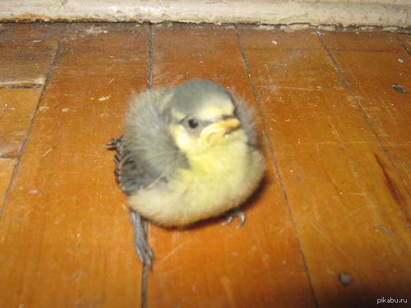 ������ � �����.