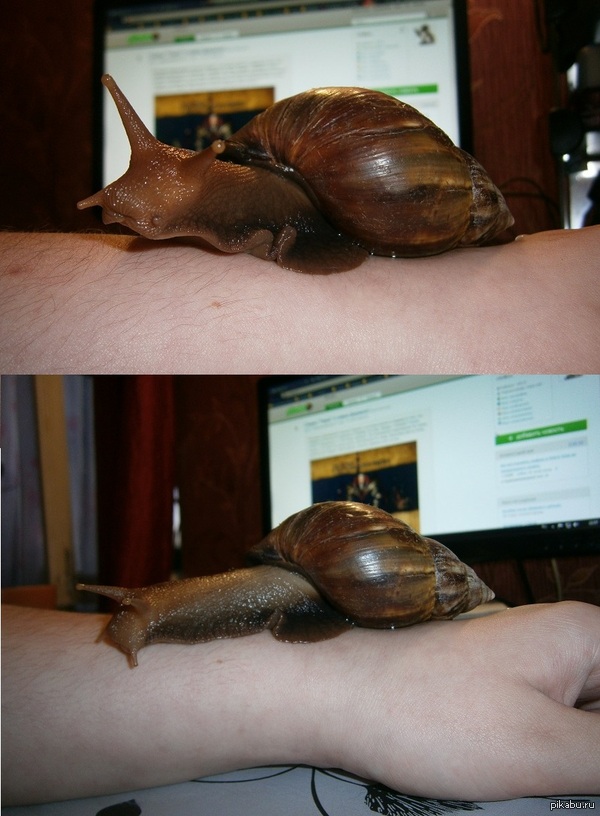 � ���� ���� �������, ������� . � � ���� ��� ������!