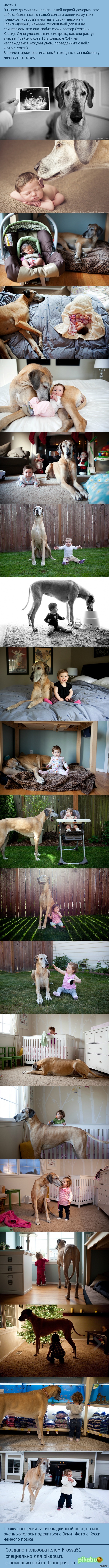 Собака, ставшая няней)