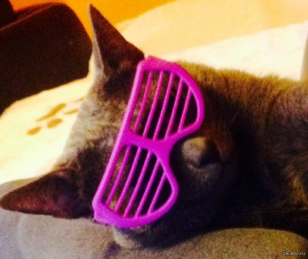 ��� ������ �������))