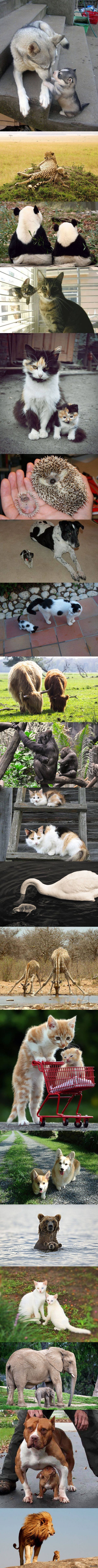 мимими и все :)