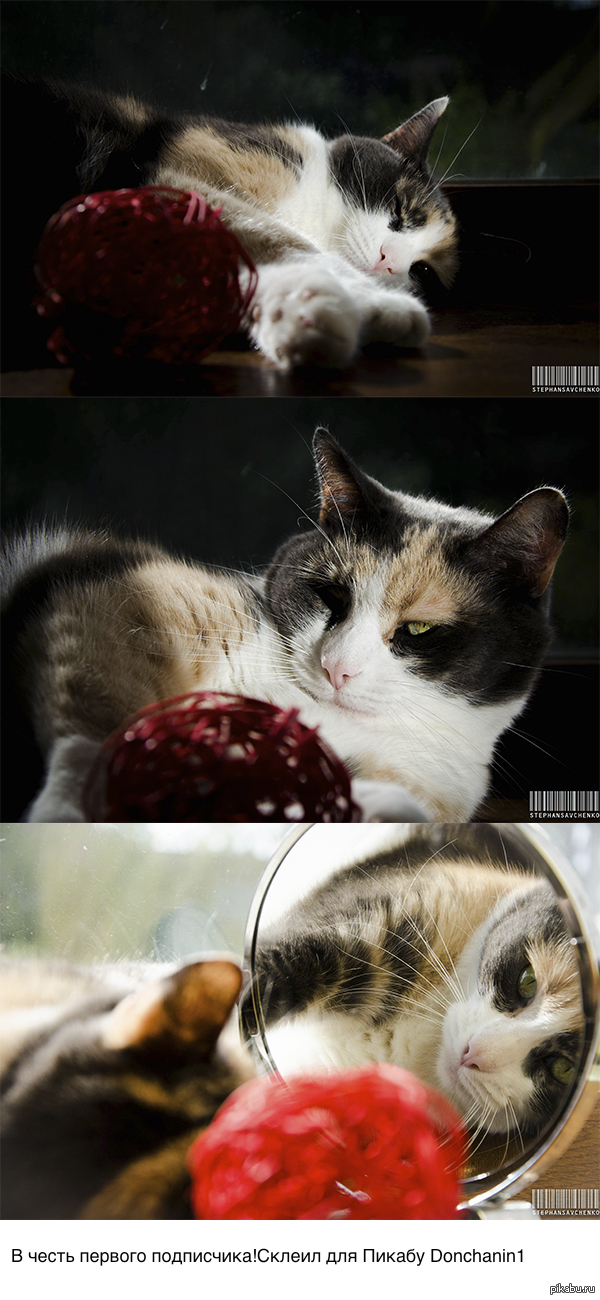 В честь первого подписчика!