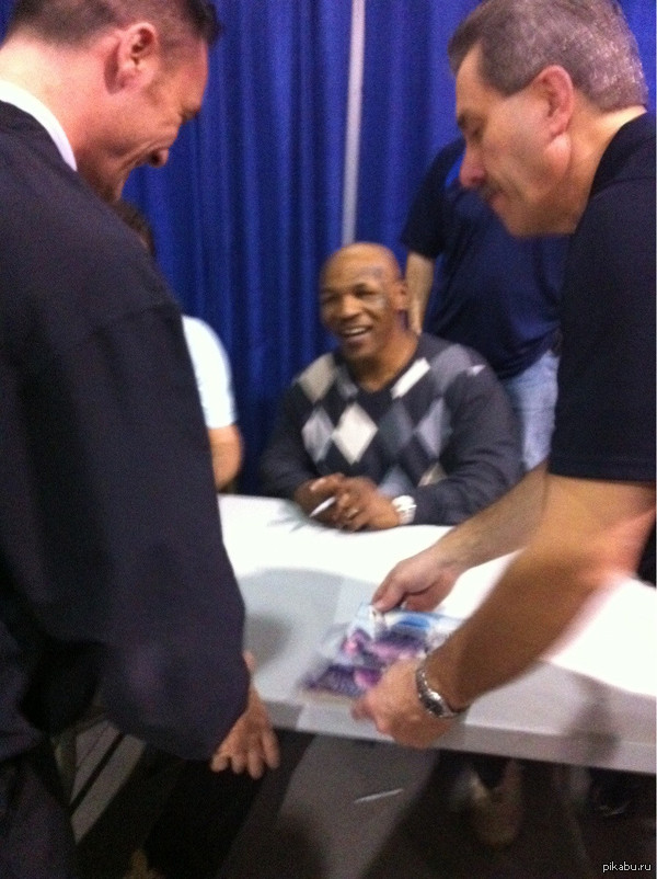  -   ,   ,       ,       81 .