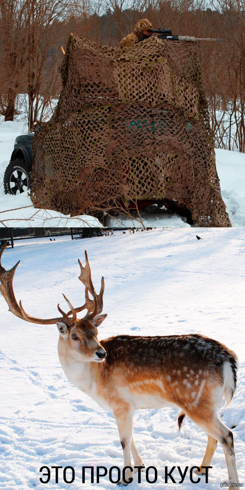 Это просто камень