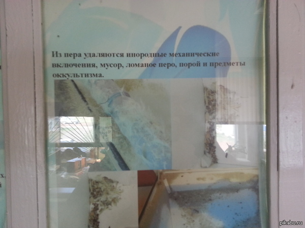 � �� ������ ��� � ���� � �������?!