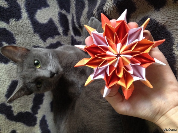 К посту http://pikabu.ru/story/_2335389