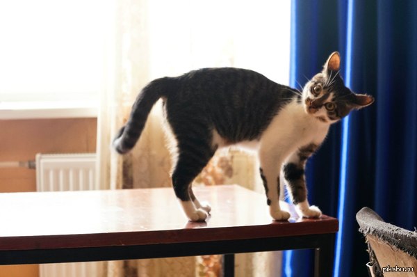 ������ �����, �������� ���������. � �����, ��� ���������...