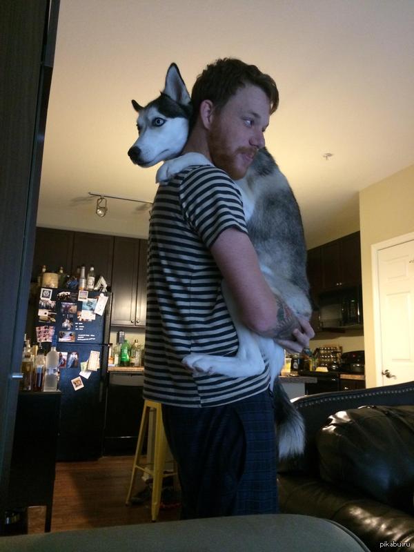 Во Флориде, сезон дождей и часто очень сильный гром. Единственный способ успокоить мою собаку именно такой. )