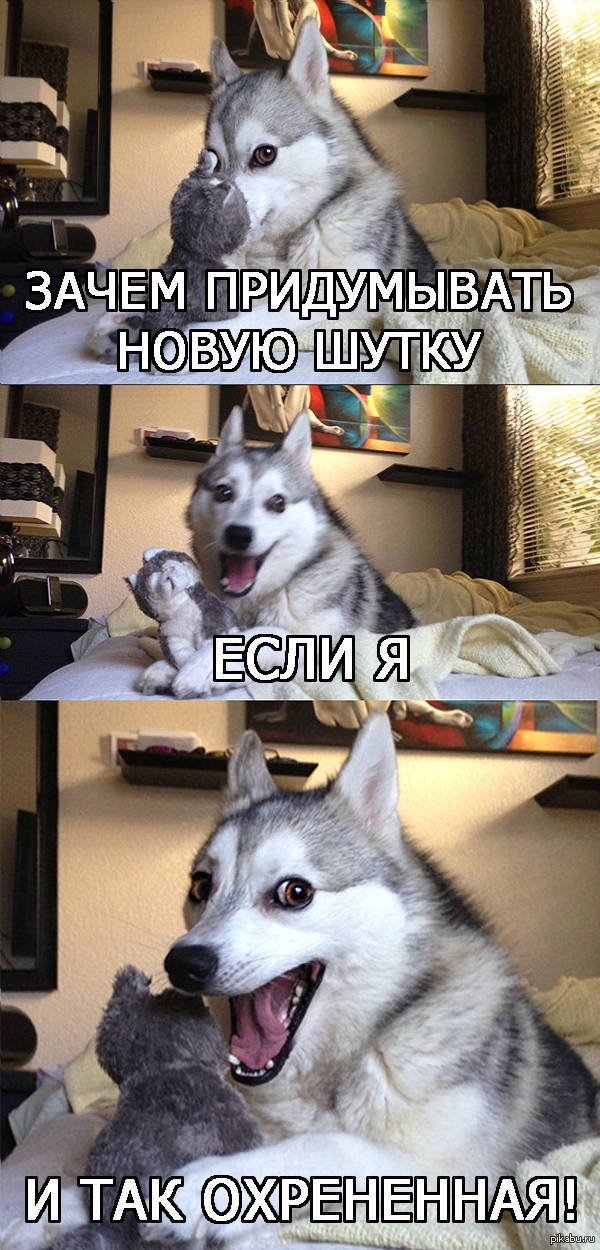 Шутки ни к чему! | Пикабу