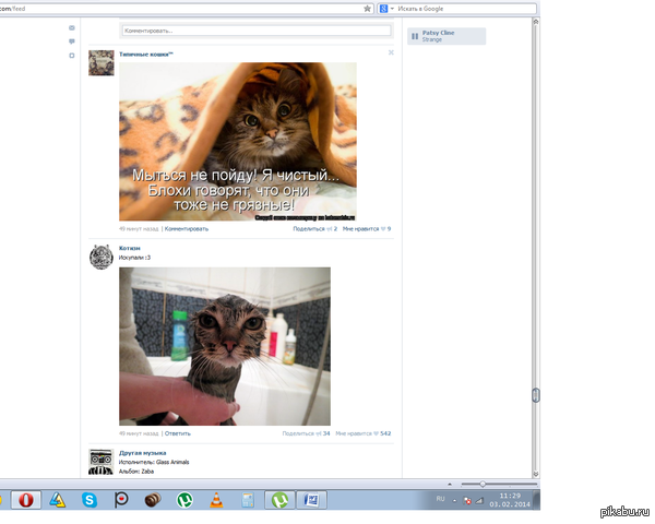 ������ ���������