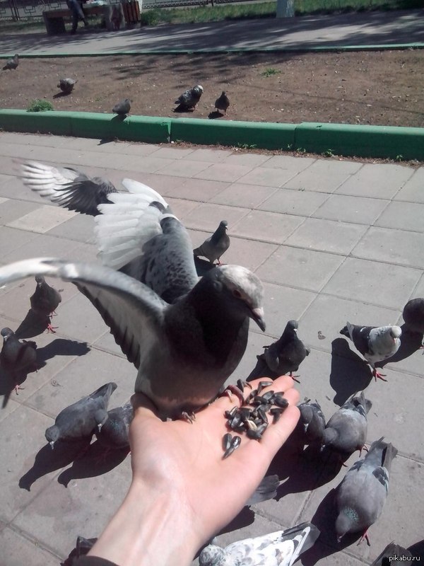 � ��� �� �������..."�����" ������� ??!!