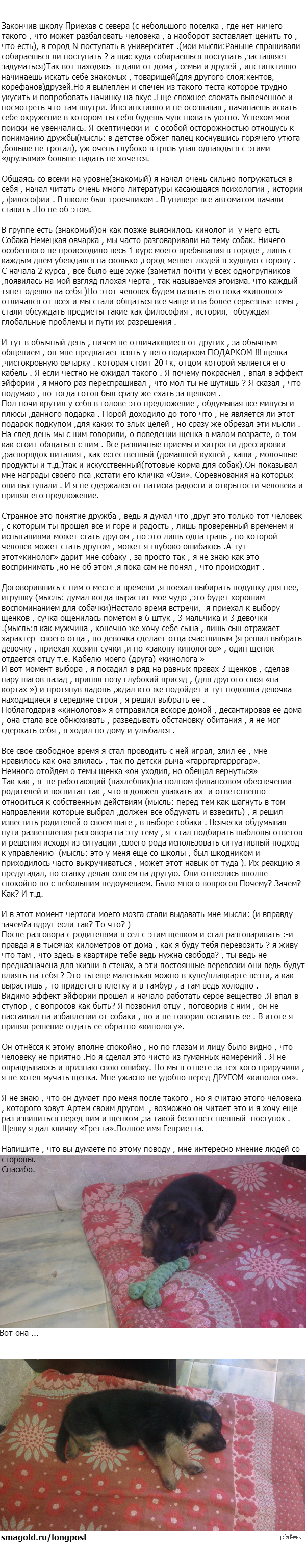 Правильный ли выбор?