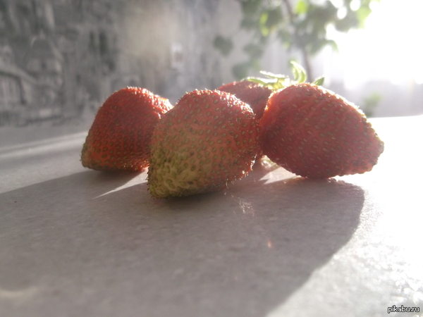 ���� ���������! =)