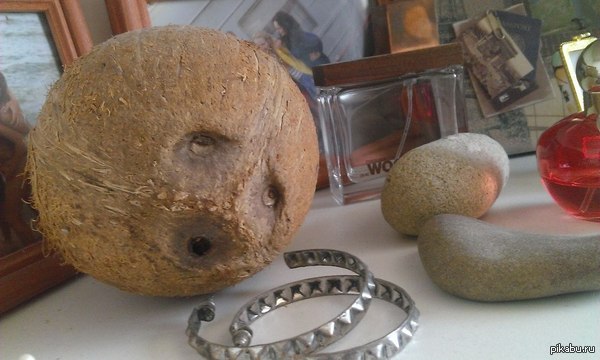 �������� ��� ��