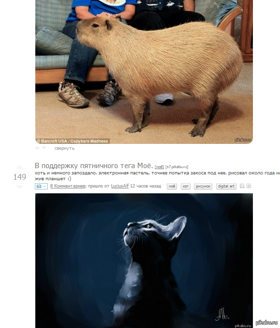 � �� �� ��������� �� ����� ������