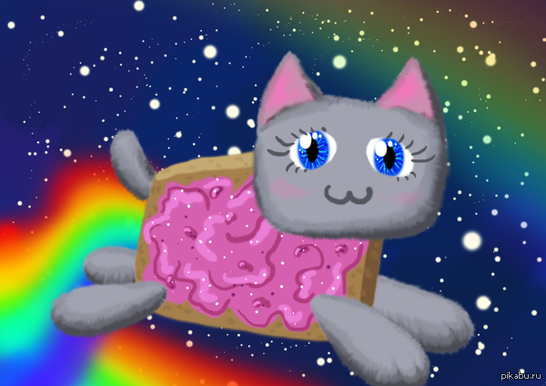 Nyan cat       ,      .