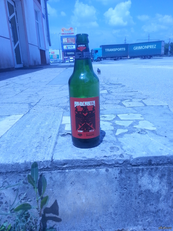 Banderbeer