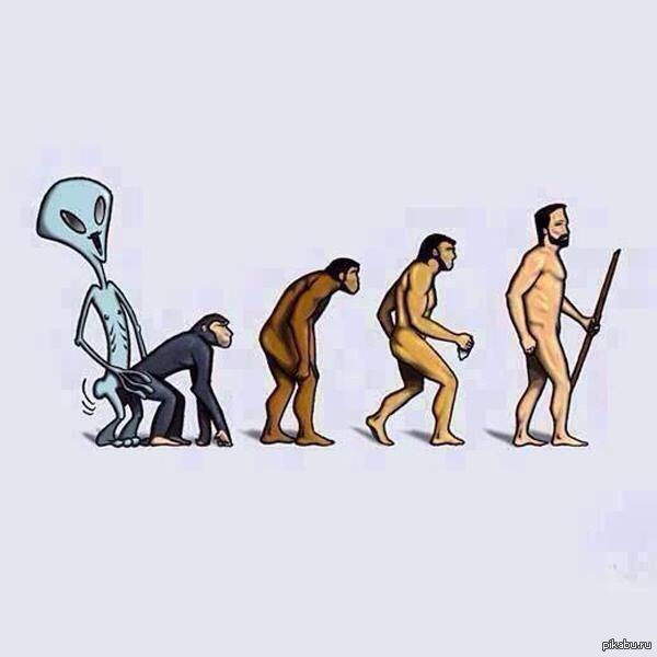 �� ������ ���-��