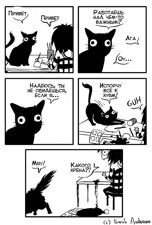 Жизнь с котом.