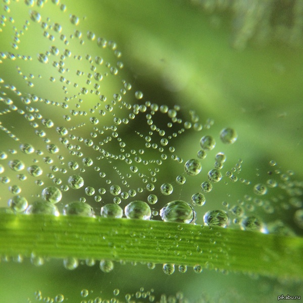 ������ ����� ���� �� �������.