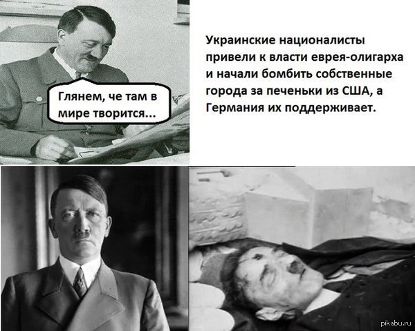 Адольф в шоке | Пикабу