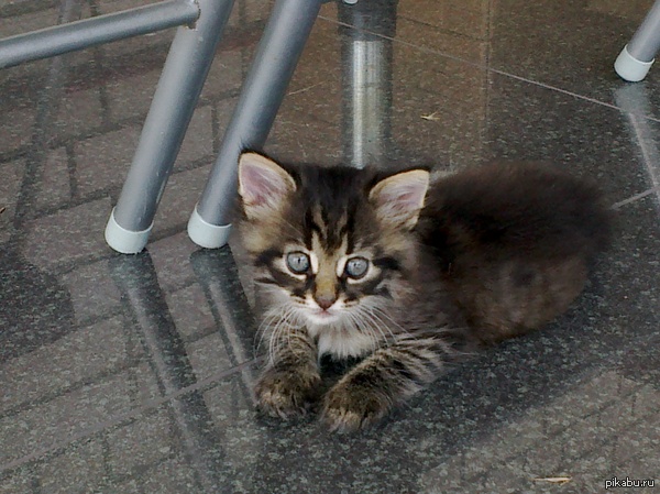 ��� �������� ����������.