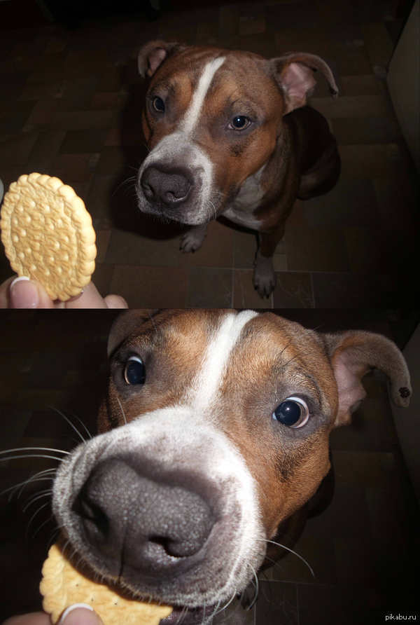 ��� ��������� ������ :�