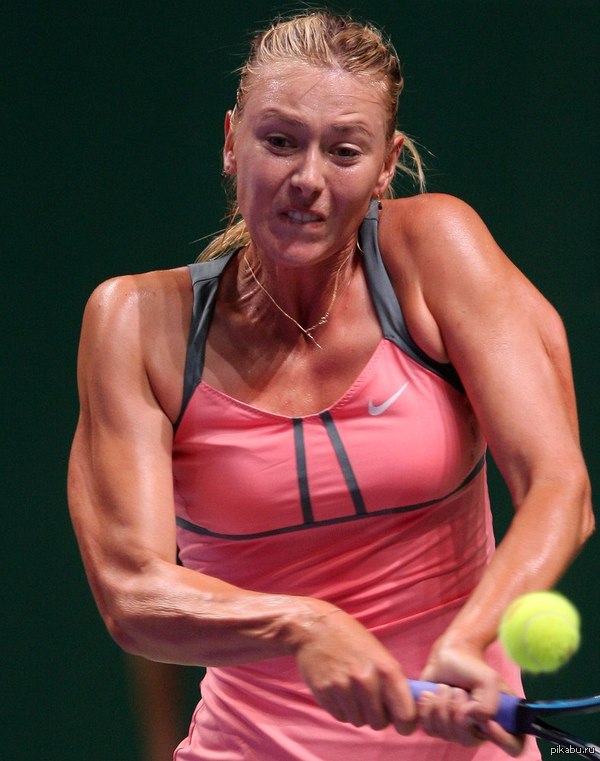 � ��� ��� ��������