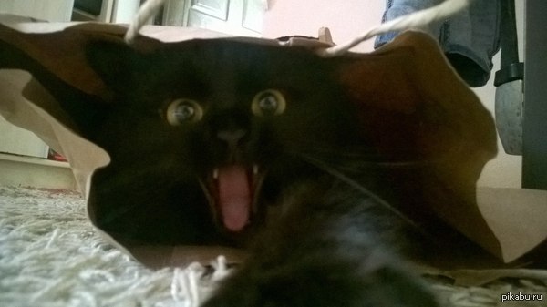 ����� �� ������))