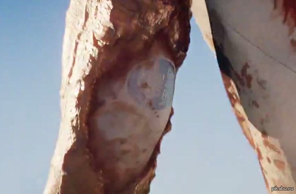  Dead Island 2.      ? ?