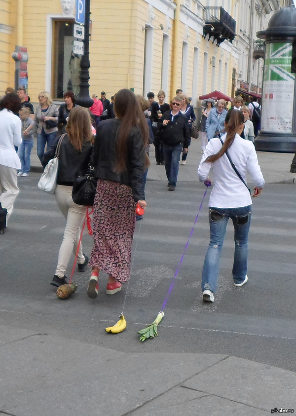 Обычный питерский день.